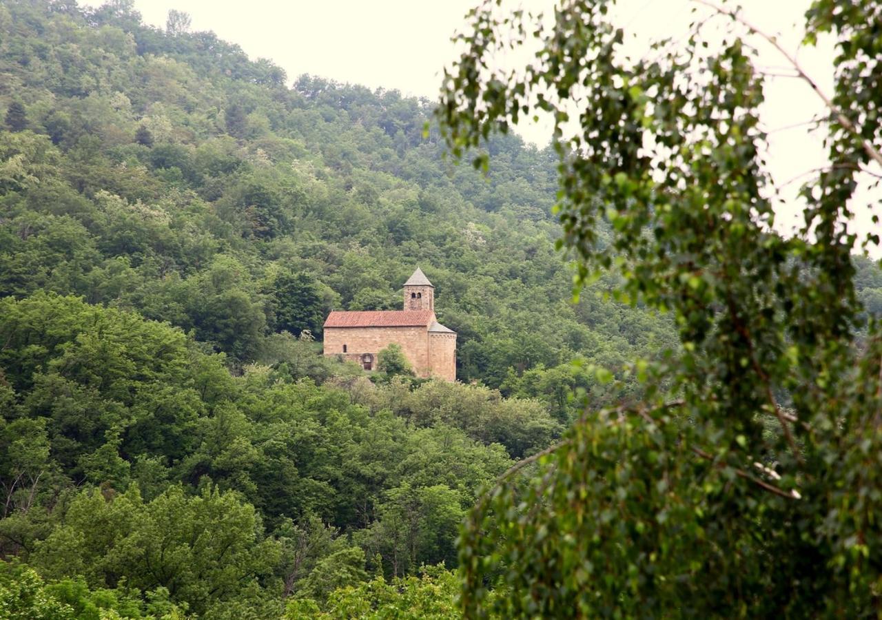 Beau Vallon - Gite Et Chambres D'Hotes Pyrenees-Mediterranee - Pays Catalan Sahorre Exteriér fotografie