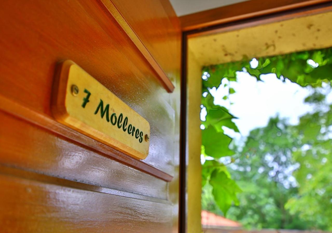 Beau Vallon - Gite Et Chambres D'Hotes Pyrenees-Mediterranee - Pays Catalan Sahorre Exteriér fotografie